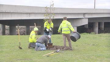 The Parks and Recreation Department is planting trees for a greener future