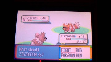 Live Shiny Zigzagoon on Ruby after 4,317 REs (Phase 1)