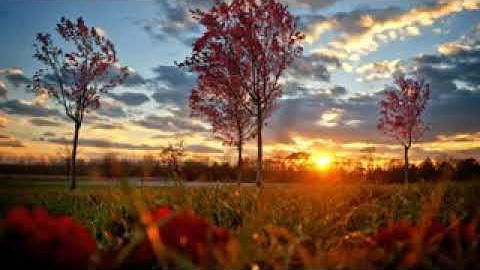 الشيخ عبدالباسط عبدالصمد سورة الأعلى تلاوة رهيبة