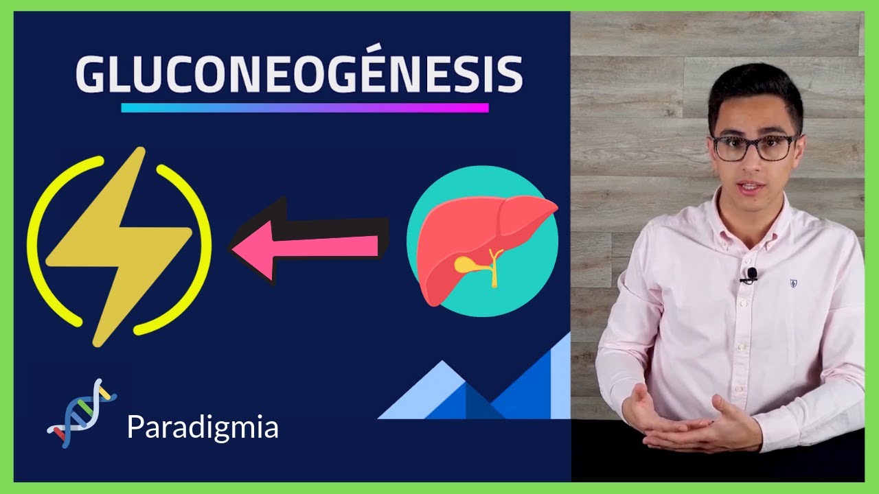 Respiracion Celular ⚡️ GLUCONEOGENESIS explicacion SENCILLA 🧪BIOQUIMICA🧪 #006