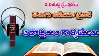 05_అపొస్తలుల కార్యములు, Aposthalula Karyamulu, The Book of Acts, Telugu Audio Bible Full screenshot 5