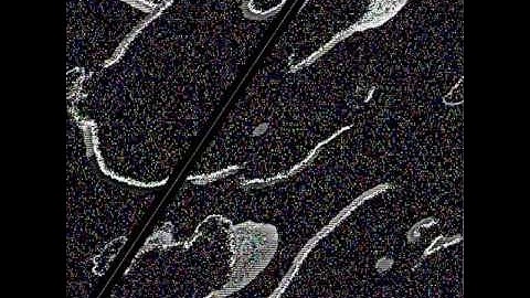 The artificial life predator-prey ecosystem EcoSim with obstacles