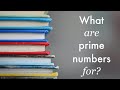 What Are Prime Numbers For?