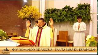 IV Domingo de Pascua