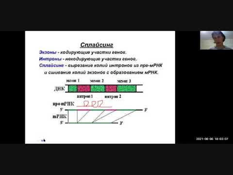 Кодирование экзонов и интронов. Транскрипция. ЕГЭ 2021. Учитель: Баштанник Н.Е.