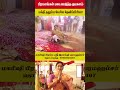 பக்தி ததும்ப பேசிய தேவிப்பிரியா | Ramji swamigal | Actress Devi Priya | Vishnumaya