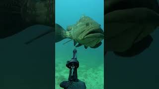 Too Quiet Down Here  POV #POV #DeepSea #UnderwaterHunt #ExtremeDepth