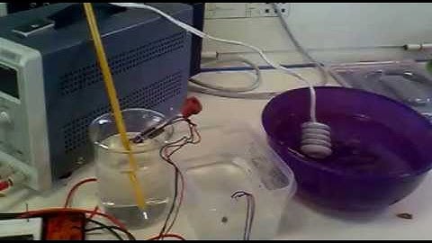 PARAMETRIZACION DE DOS SENSORES DALLAS DS1820 CON VISUALIZACION EN GLCD