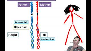 SPM Form 5 Biology Chapter 11 Inheritance: Terms Related to Inheritance (Part 3)