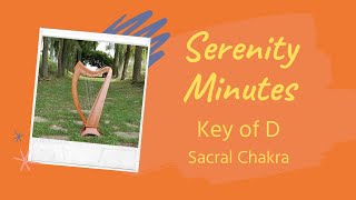 Serenity Minutes 32 - Key Of D [Harp Mindfulness Minute]