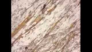 Biotite muscovite schist (PPL)