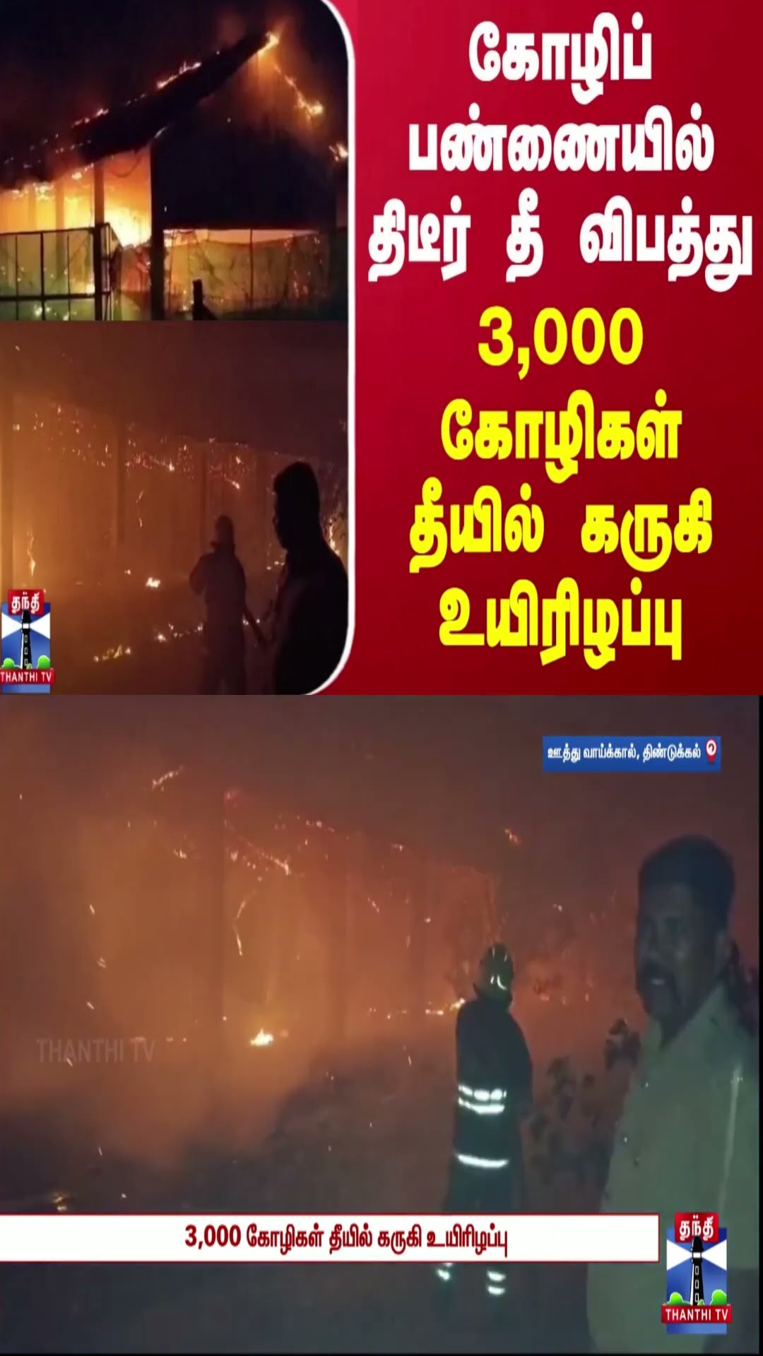கோழிப் பண்ணையில் திடீர் தீ விபத்து.. 3,000 கோழிகள் தீயில் கருகி உயிரிழப்பு