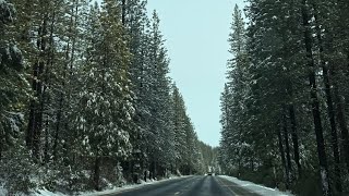 Luca Day - Snow Day ๐Pinecrest CA
