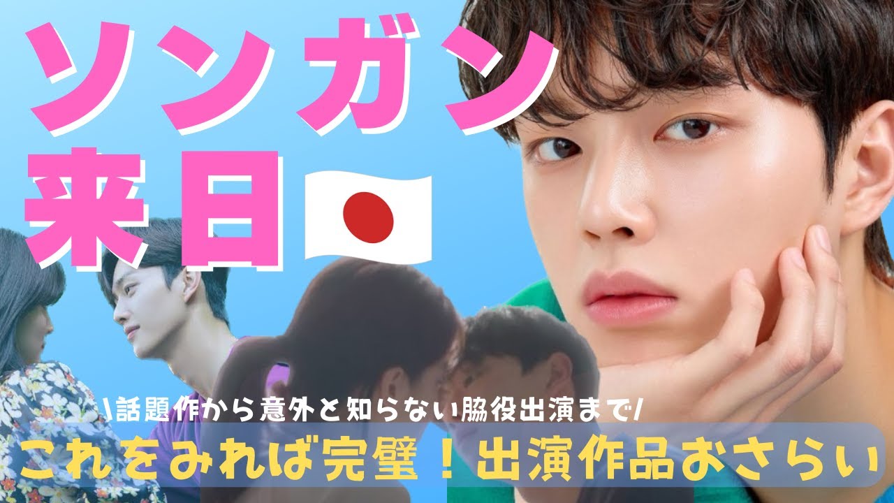 【韓ドラ】何作知ってる😳❓ソンガン出演ドラマを来日前に徹底復習！！