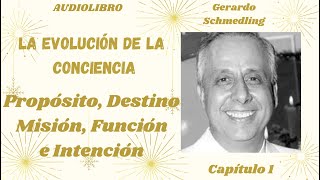 8 - Difference between PURPOSE, DESTINATION, MISSION, FUNCTION and INTENTION - Gerardo Schmedling