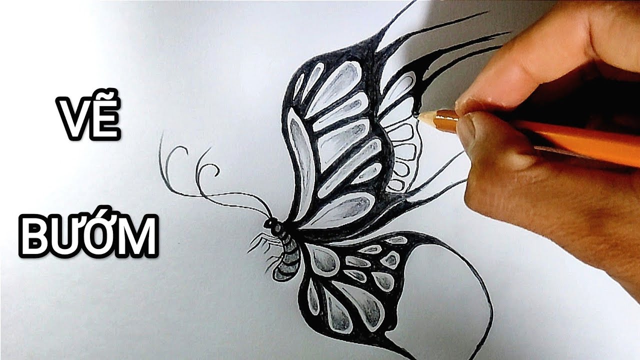 Vẽ Con Bướm Bằng Bút Chì | How To Draw A Butterfly - Youtube