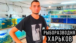 A fish farm operating in wartime in Kharkov!