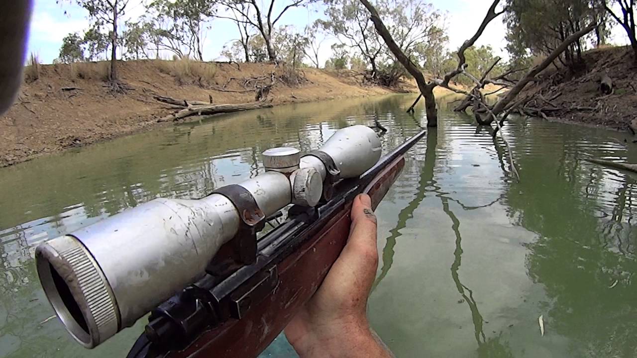 snap shot of a running boar out of a kayak - youtube