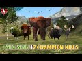 The tiger  mix map 17 champion kills 