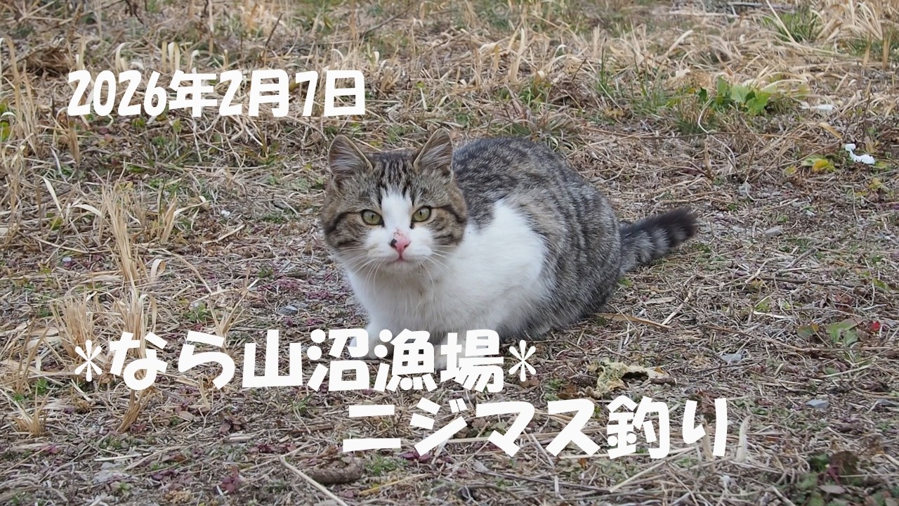 【極寒！】2026年2月7日「なら山沼漁場」で釣り