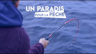 Des bars en surface sur un spot de pêche PARADISIAQUE !!! (Jour de pêche).