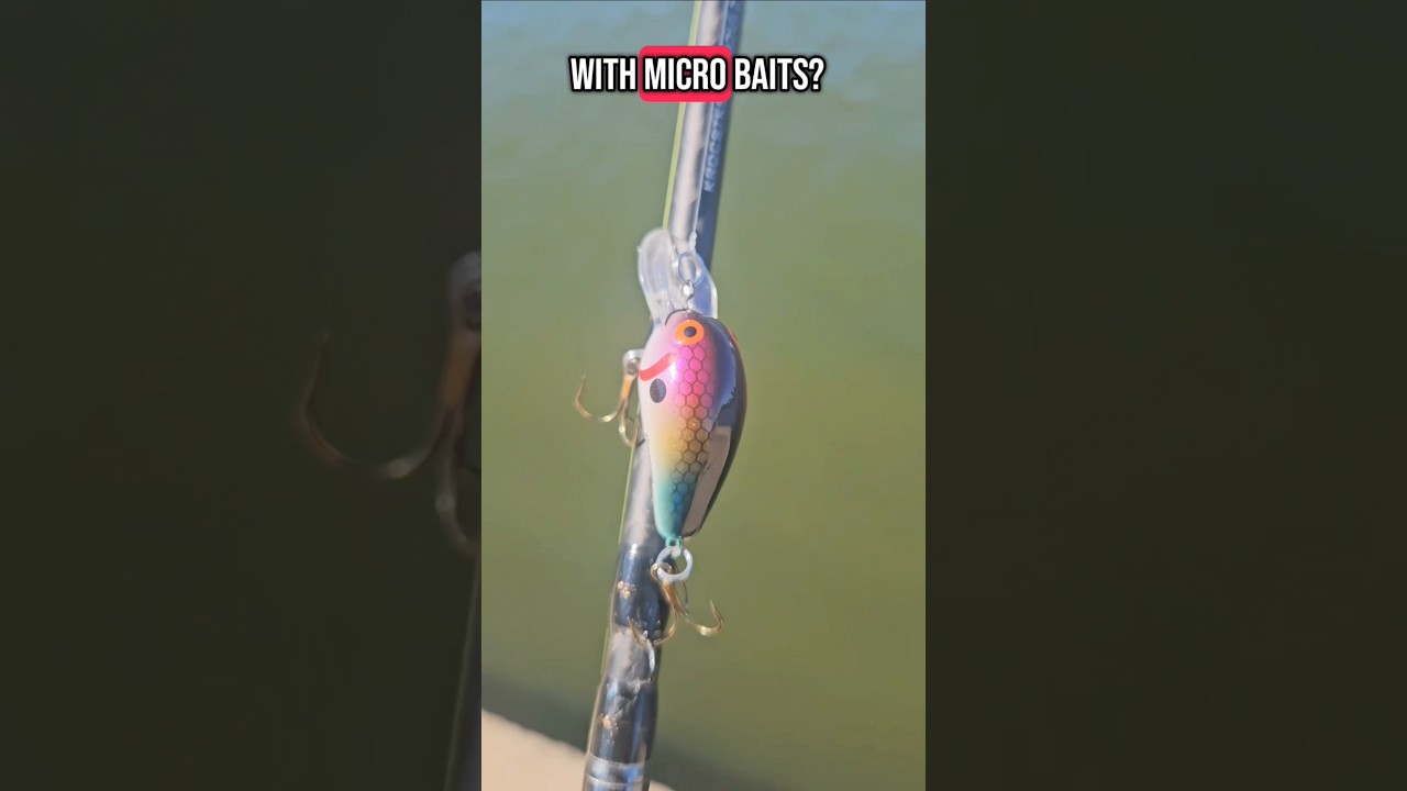 Do you fish with micro baits?