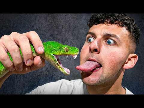 Je Teste les PIRES douleurs Tiktok ! #4