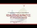 Presentation of the congress nephrolithiasis  renal stones in practice