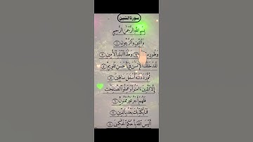 سورة التين ☝🏻#subscribe #اكسبلور #المصحف #like #quran #لايك #please