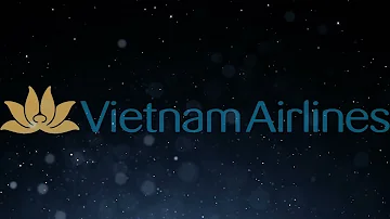 Vietnam Airlines Safety Video Music