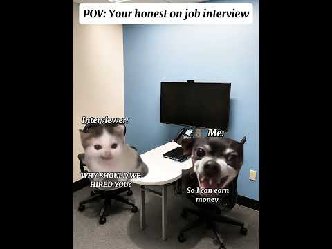 CAT MEMES 🐱 Your honest on job interview be like 😂. #catmemes #meme