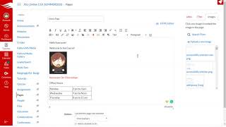 Using the Canvas Accessibility Checker