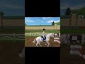 #horse #horses #starstable #new #equestrian #show #sso #edit #short #starstableonline #jumping #pet