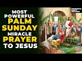 Jesus Has Amazing Blessings For You This Palm Sunday - Pray This Powerful Prayer Now To Receive Them