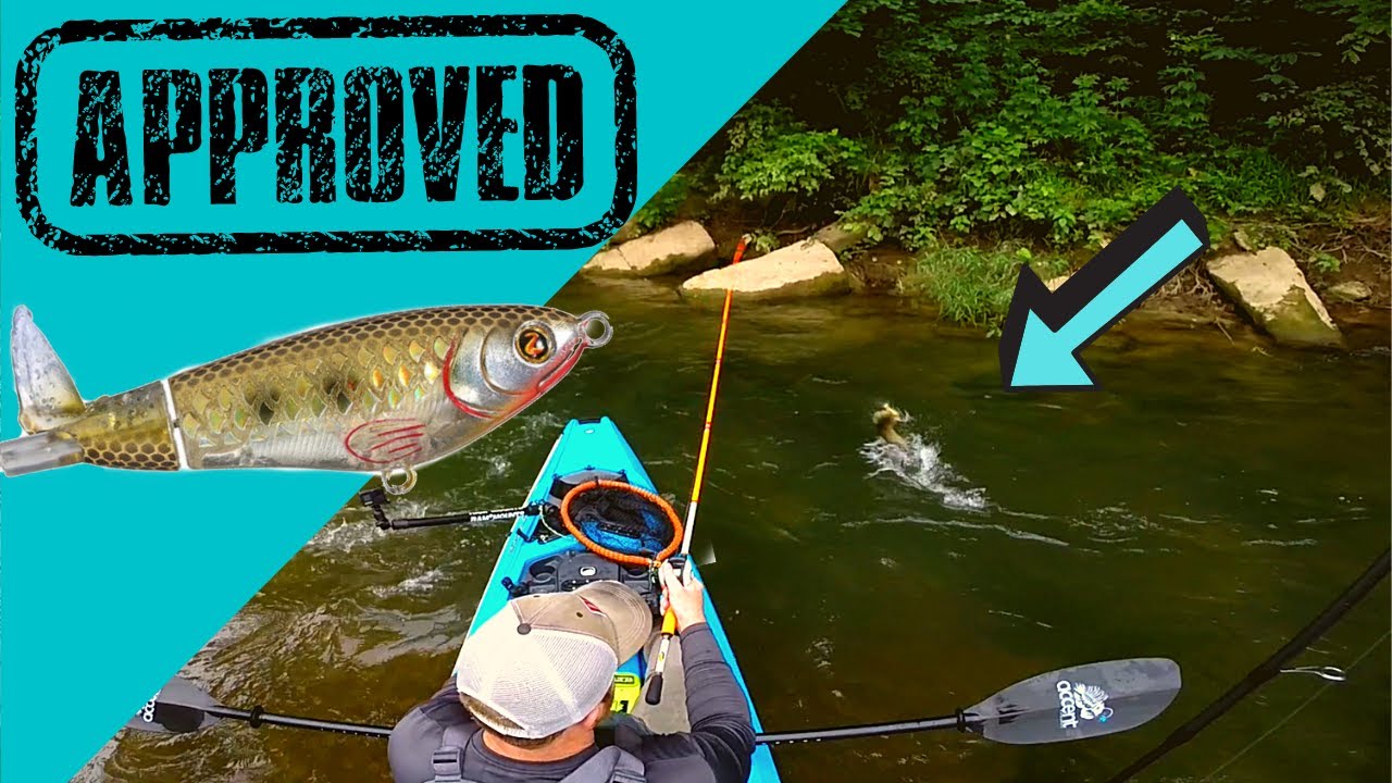 s0-many-blowups-whopper-plopper-for-smallmouth-youtube