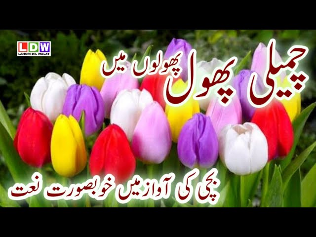 Chameli Phool Phoolon Mein - kids Naat - Naat Sharif - Naat