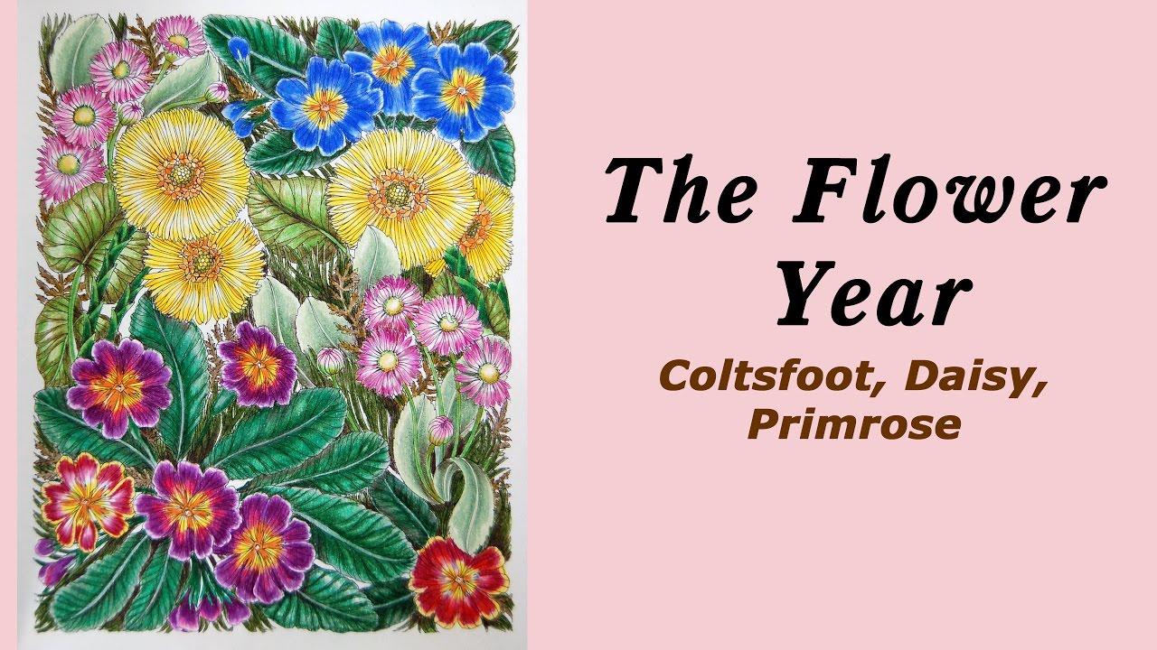 Colouring The Flower year Daisies and Primroses Ð Ð°ÑÐºÑ€Ð°ÑÐºÐ° Ð°Ð½Ñ‚Ð¸ÑÑ‚Ñ€ÐµÑÑ