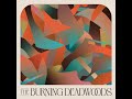 The Burning Deadwoods / Nowhere feat. 弱酸性 (Official Visualizer)