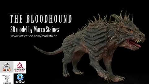 Creature Creation 2: The Bloodhound. 3D model