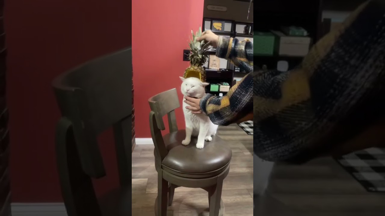 Cat Pineapple Helmet