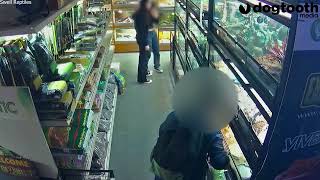 Thief Swipes Baby Tortoises From Pet Shop || Dogtooth Media