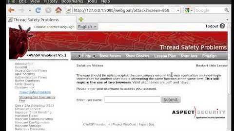 WebGoat - Thread Safety Problems