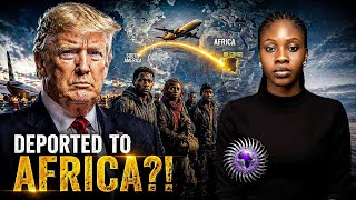 15 South American Migrants Deported To Dr Congo