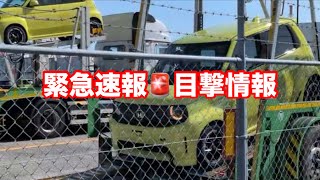 ✨HONDA  Super ONE❣️緊急速報🚨目撃情報 ホンマ ありがとうございます😆
