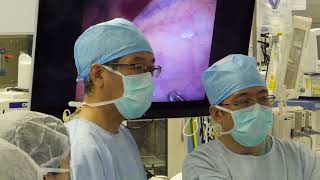 関西医科大学講座紹介　腎泌尿器科学　Department of Urology and Andrology, Kansai Medical University