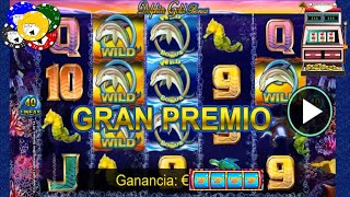Machine à sous : "Dolphin Gold" screenshot 5