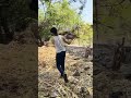 kamli kamli kamli #trendingshorts #fitnessmotivation #gymrat #homeworkout #viralvideo #LIGER__777