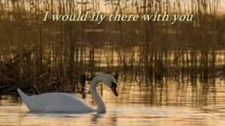 Secret Garden  - Swan(lyrics) chords