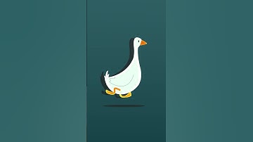 Duck Character Walkcycle Animation | Animation Production Company #loopanimation & #lottieanimation