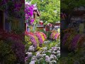 Colourful Nature ever seen #nature #shorts #naturebeauty